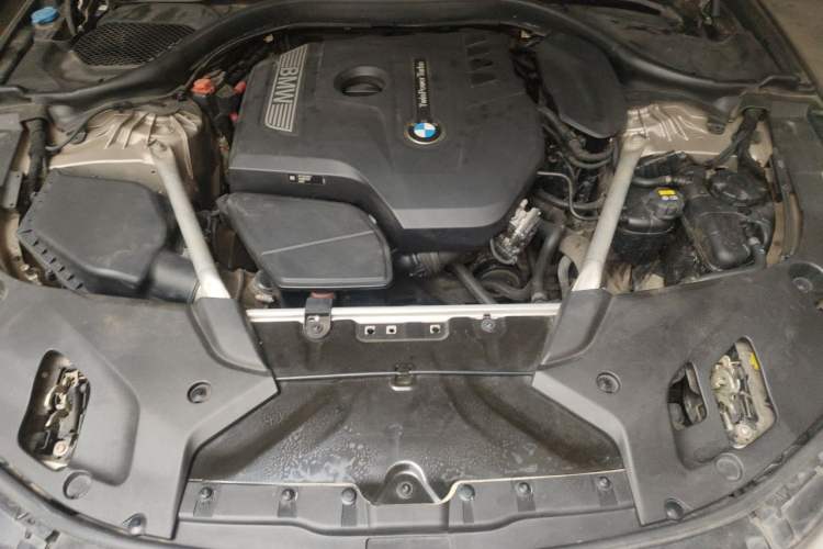 Used BMW 5 Series 2020 530Li Luxury Edition Premium Package Engine Bay