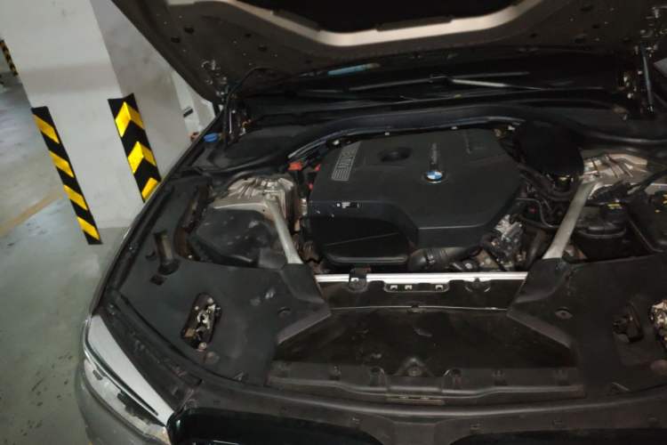 Used BMW 5 Series 2020 530Li Luxury Edition Premium Package Engine Bay Right