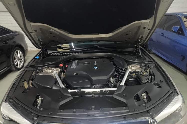 Used BMW 5 Series 2020 525Li Luxury Package Engine Bay