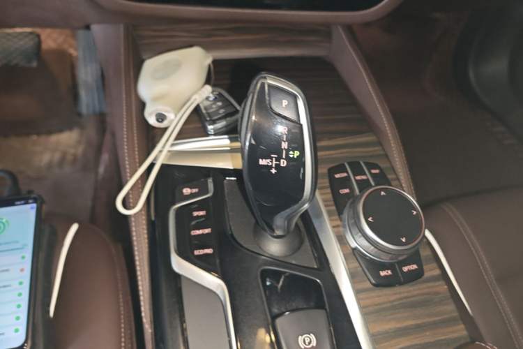 Used BMW 5 Series 2020 530Li Leading Edition Luxury Package Gear Lever