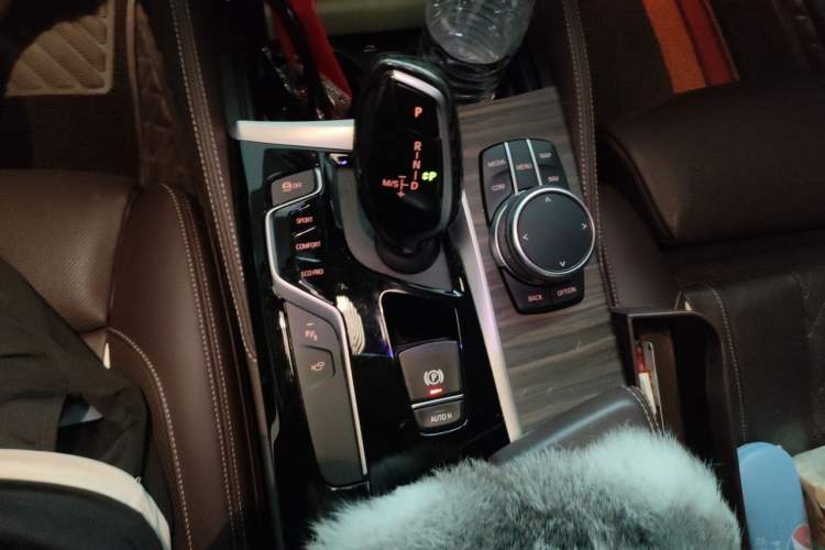 Used BMW 5 Series 2020 530Li Luxury Edition Premium Package Gear Lever