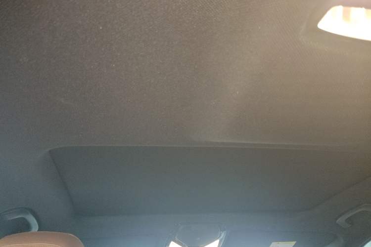 Used BMW 5 Series 2020 525i M Sport Package Headliner