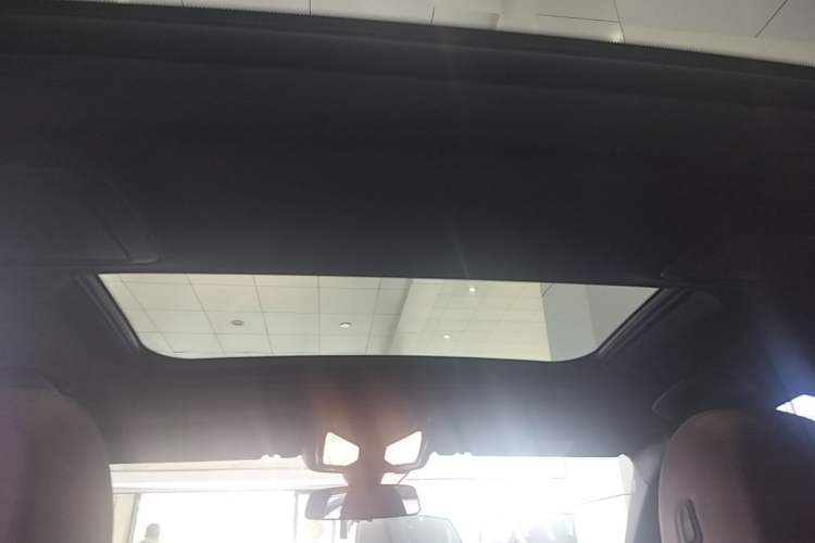Used BMW 5 Series 2020 530Li xDrive M Sport Package Headliner