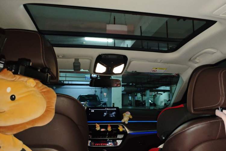 Used BMW 5 Series 2020 530Li Luxury Edition Premium Package Headliner