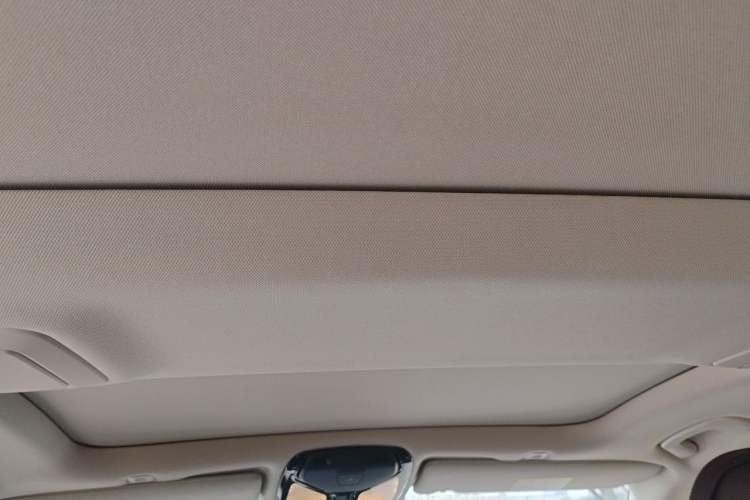 Used BMW 5 Series 2020 530Li Luxury Edition Premium Package Headliner