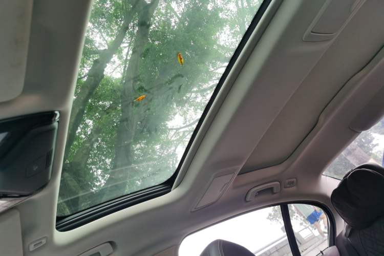 Used BMW 5 Series 2020 530Li xDrive Luxury Package Headliner