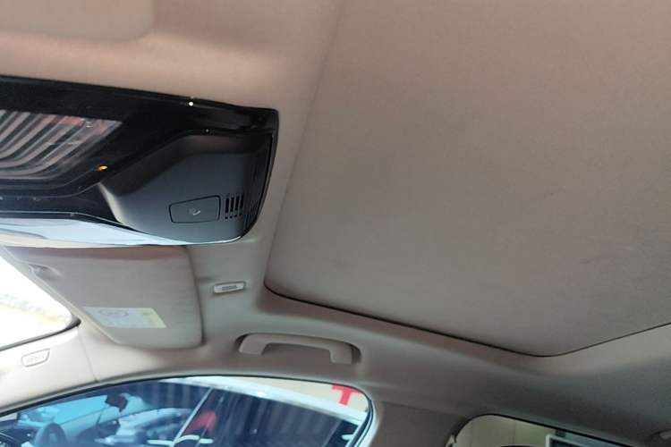 Used BMW 5 Series 2020 525Li Luxury Package Headliner