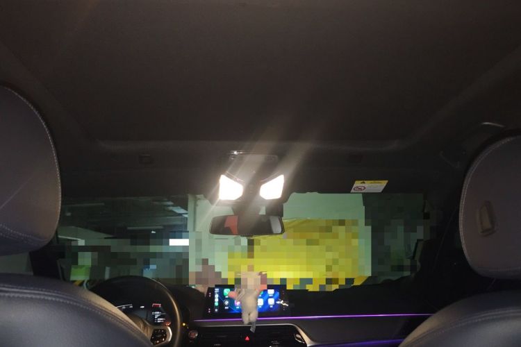 Used BMW 5 Series 2020 525i M Sport Package Headliner