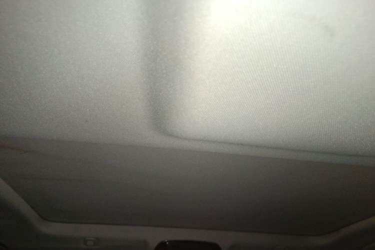 Used BMW 5 Series 2020 525Li Luxury Package Headliner