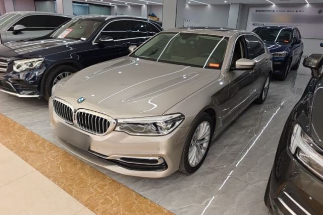 Used BMW 5 Series 2020 530Li Leading Edition Luxury Package