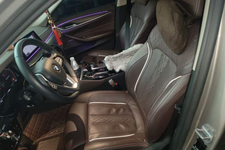 Used BMW 5 Series 2020 530Li Luxury Edition Premium Package Left Front Seat