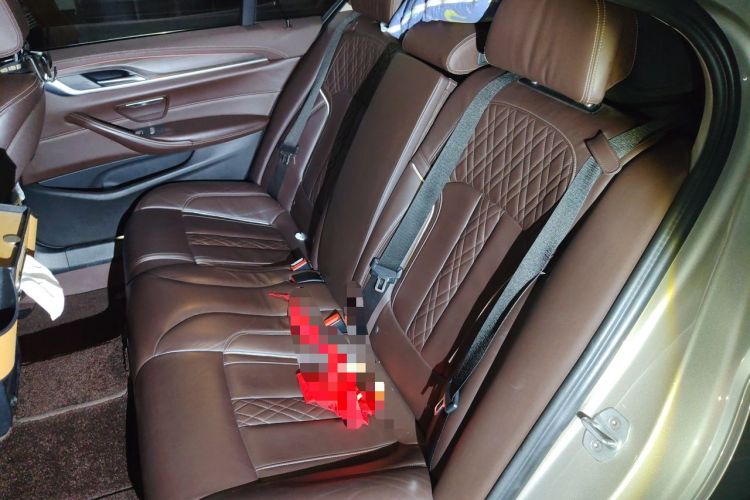 Used BMW 5 Series 2020 530Li Leading Edition Luxury Package Left Rear Seat