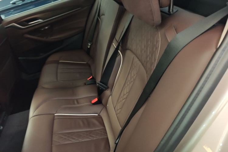 Used BMW 5 Series 2020 530Li Leading Edition Luxury Package Left Rear Seat