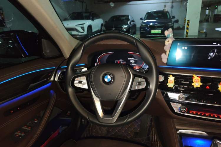 Used BMW 5 Series 2020 530Li Luxury Edition Premium Package Steering Wheel