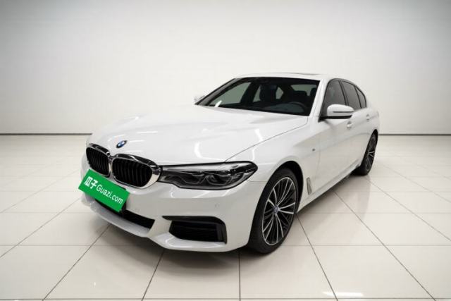 BMW 5 Series 2020 530Li xDrive M Sport Package usado