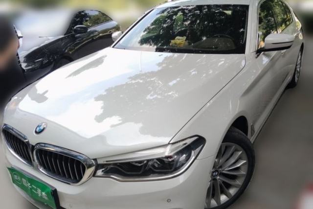 Used BMW 5 Series 2020 530Li Luxury Edition Premium Package