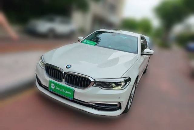 Used BMW 5 Series 2020 530Li Leading Edition Luxury Package