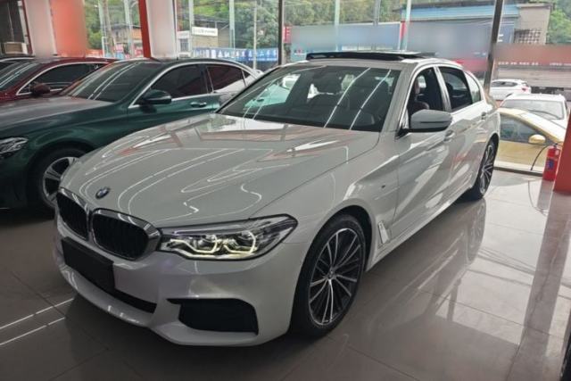 Used BMW 5 Series 2020 530Li Leading Model M Sport Package