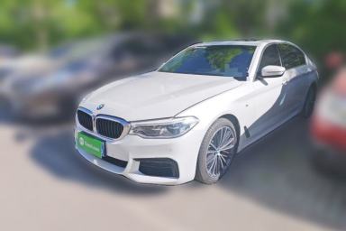 Used BMW 5 Series 2020 530Li Leading Model M Sport Package