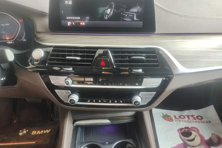 Used BMW 5 Series 2020 530Li Leading Edition Luxury Package Audio And AC Panel