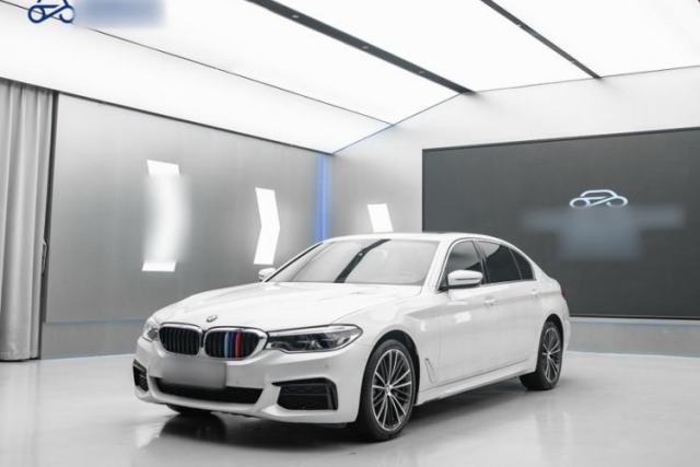 Used BMW 5 Series 2020 530Li Leading Model M Sport Package