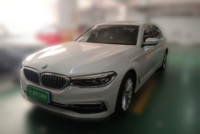 Used BMW 5 Series 2020 530Li Leading Edition Luxury Package