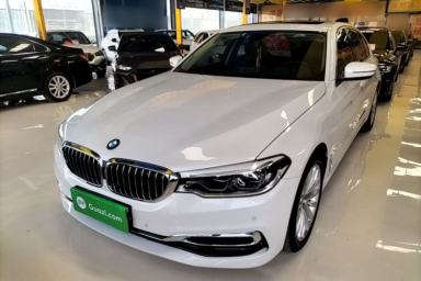 Used BMW 5 Series 2020 530Li Leading Edition Luxury Package