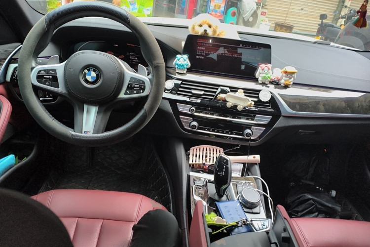 Used BMW 5 Series 2020 530Li Leading Model M Sport Package Center Console