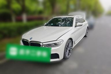 Used BMW 5 Series 2020 530Li Leading Model M Sport Package