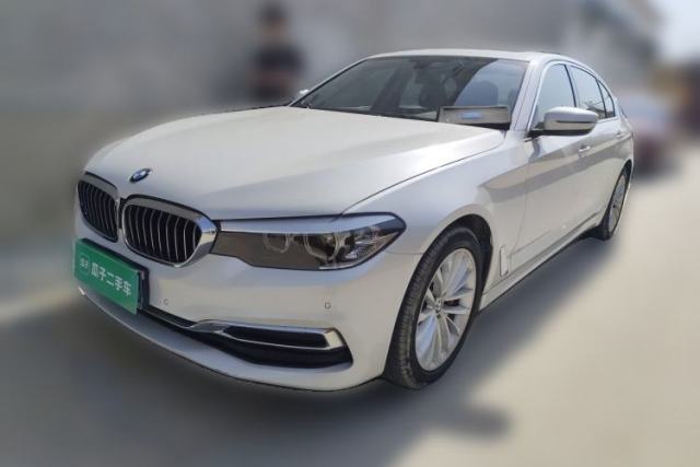 Used BMW 5 Series 2020 530Li Leading Edition Luxury Package
