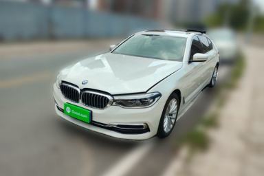 Used BMW 5 Series 2020 530Li Luxury Edition Premium Package