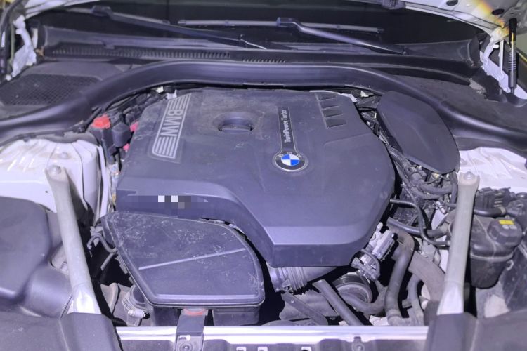 Used BMW 5 Series 2020 530Li Luxury Edition M Sport Package Engine Bay