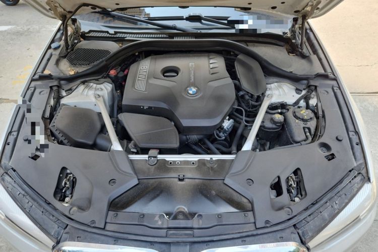 Used BMW 5 Series 2020 525Li Luxury Package Engine Bay