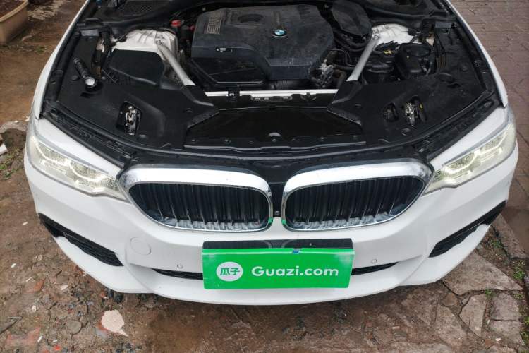 Used BMW 5 Series 2020 530Li Luxury Edition M Sport Package Engine Bay