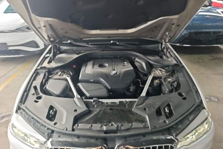 Used BMW 5 Series 2020 530Li xDrive Luxury Package Engine Bay