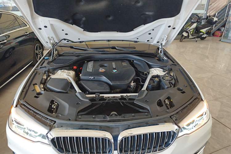 Used BMW 5 Series 2020 530Li Leading Edition Luxury Package Engine Bay
