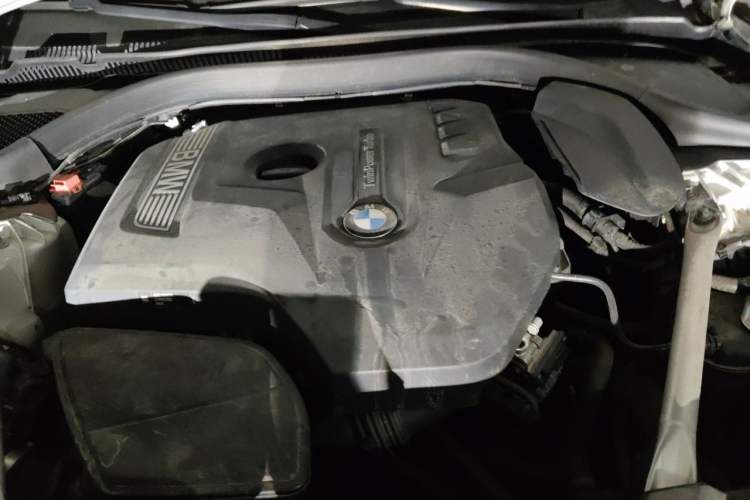 Used BMW 5 Series 2020 530Li Leading Edition Luxury Package Engine Bay
