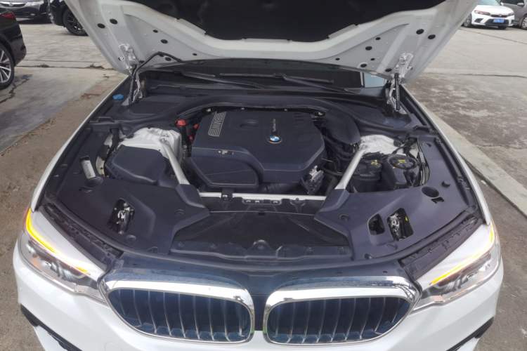 Used BMW 5 Series 2020 530Li Leading Model M Sport Package Engine Bay
