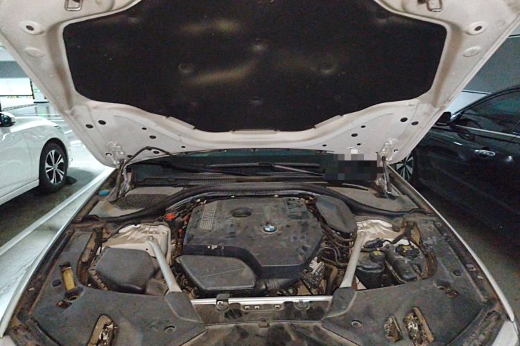 Used BMW 5 Series 2020 530Li Leading Edition Luxury Package Engine Bay