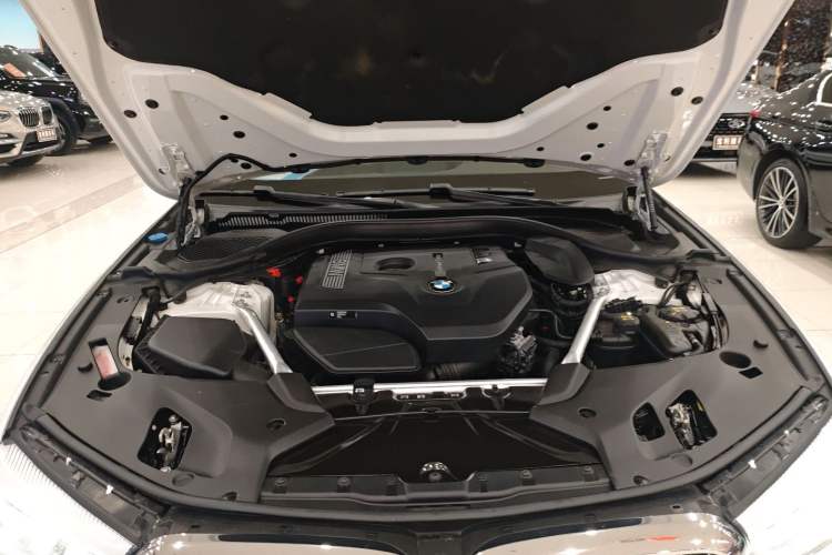 Used BMW 5 Series 2020 525Li Luxury Package Engine Bay