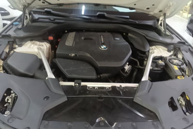 Used BMW 5 Series 2020 530Li Luxury Edition M Sport Package Engine Bay