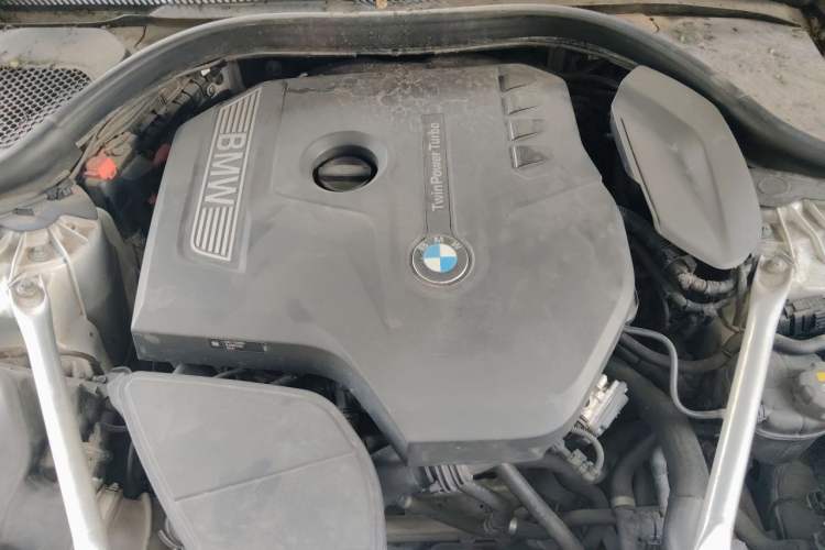 Used BMW 5 Series 2020 530Li Luxury Edition Premium Package Engine Bay