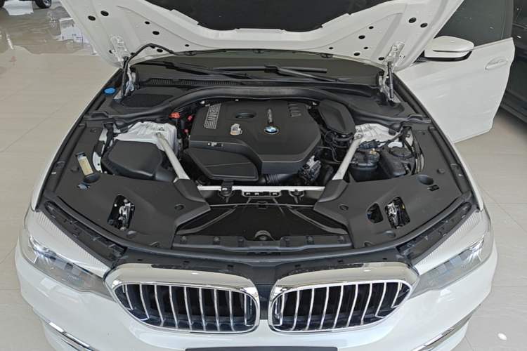 Used BMW 5 Series 2020 525Li Luxury Package Engine Bay
