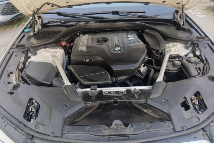 Used BMW 5 Series 2020 530Li Luxury Edition Premium Package Engine Bay