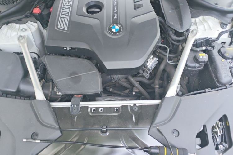 Used BMW 5 Series 2020 530Li Luxury Edition Premium Package Engine Bay