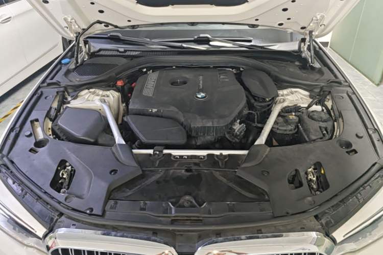 Used BMW 5 Series 2020 530Li Leading Edition Luxury Package Engine Bay