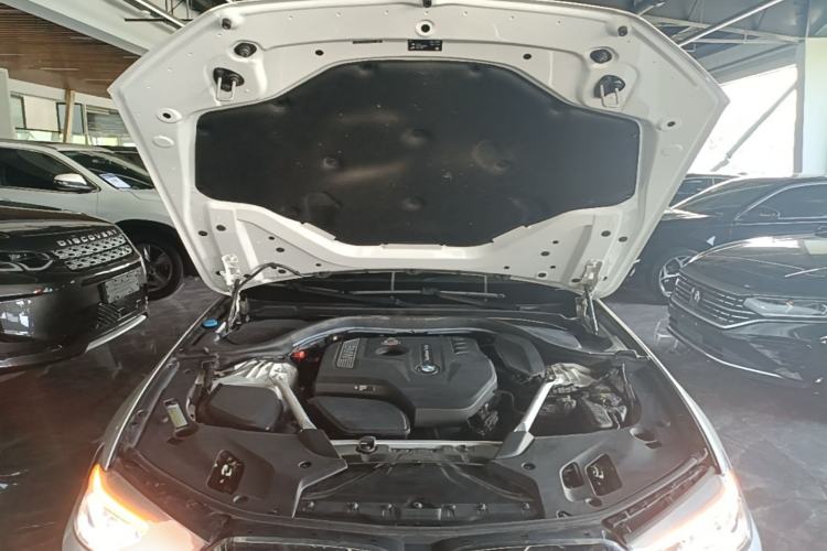 Used BMW 5 Series 2020 530Li xDrive Luxury Package Engine Bay