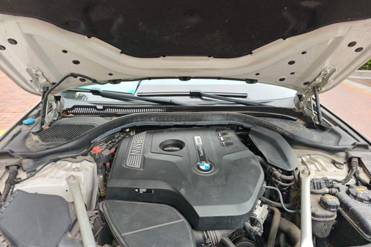 Used BMW 5 Series 2020 530Li Leading Edition Luxury Package Engine Bay