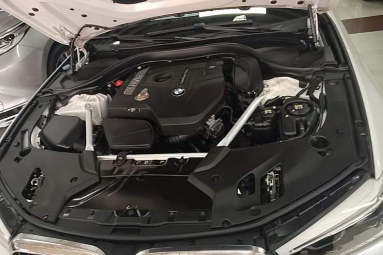 Used BMW 5 Series 2020 530Li Luxury Edition M Sport Package Engine Bay