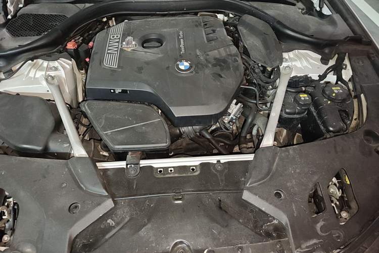 Used BMW 5 Series 2020 530Li Luxury Edition M Sport Package Engine Bay